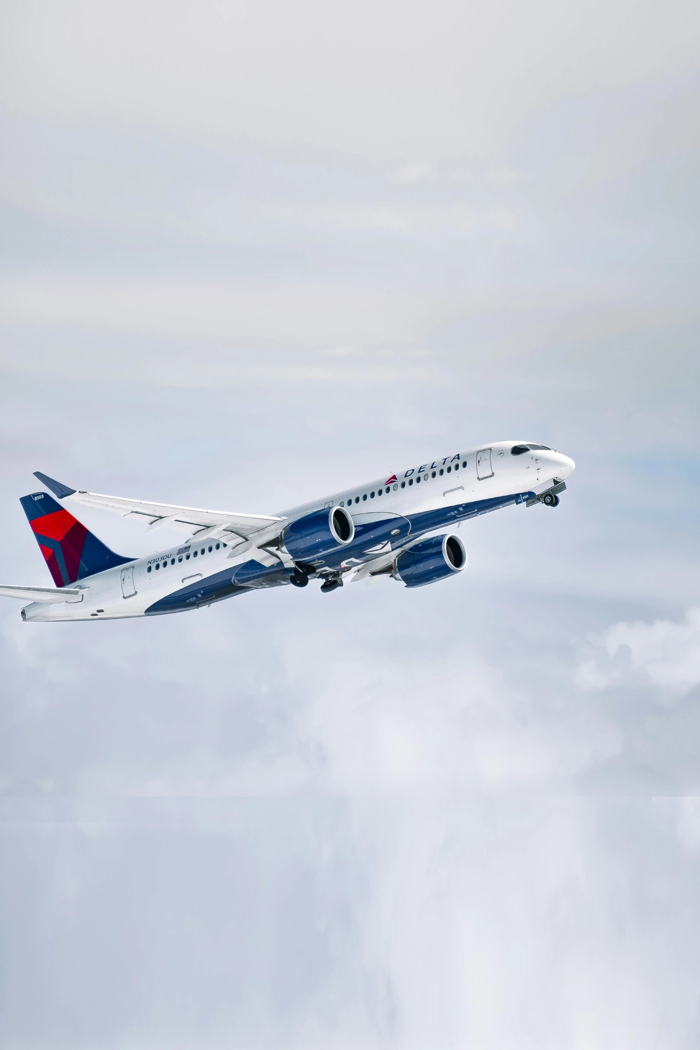 Delta Plane in flight